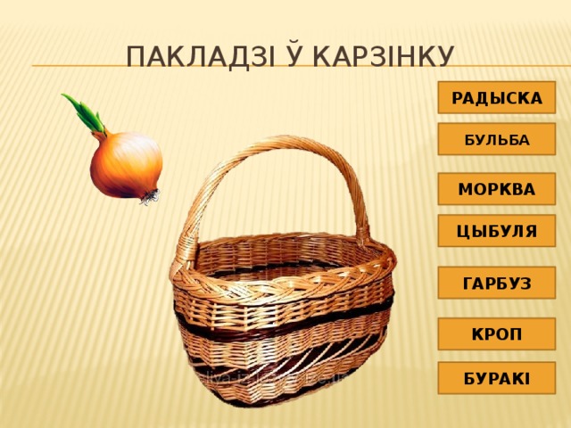 Пакладзі ў карзінку РАДЫСКА БУЛЬБА МОРКВА ЦЫБУЛЯ ГАРБУЗ КРОП БУРАКІ 