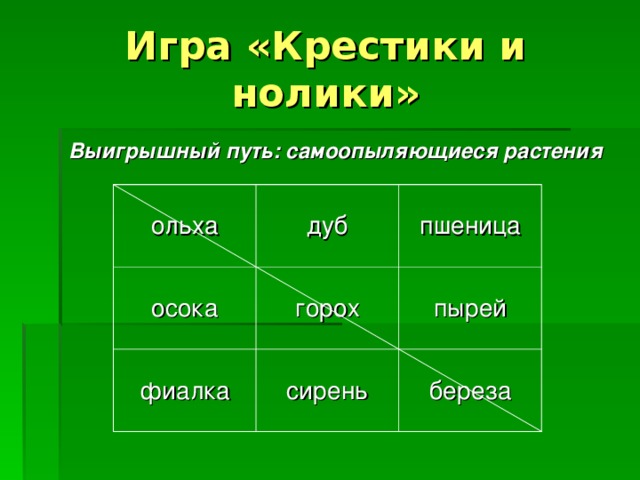 Игра «Крестики и нолики» Выигрышный путь: самоопыляющиеся растения  ольха дуб осока пшеница горох фиалка сирень пырей береза 