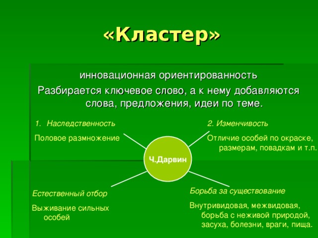 «Кластер» инновационная ориентированность Разбирается ключевое слово, а к нему добавляются слова, предложения, идеи по теме. Наследственность 2. Изменчивость Отличие особей по окраске, размерам, повадкам и т.п. Половое размножение Ч.Дарвин Борьба за существование Внутривидовая, межвидовая, борьба с неживой природой, засуха, болезни, враги, пища. Естественный отбор  Выживание сильных особей 