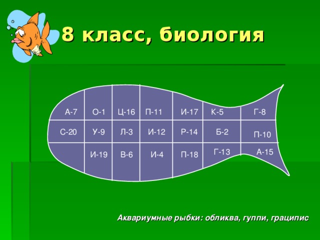 8 класс, биология П-11 И-17 Г-8 К-5 А-7 Ц-16 О-1 Л-3 И-12 Р-14 У-9 Б-2 С-20 П-10 Г-13 А-15 В-6 И-19 П-18 И-4 Аквариумные рыбки: обликва, гуппи, граципис 
