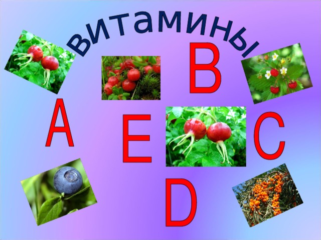 Беседа о витаминах. - Почему люди должны обязательно употреблять в пищу ягоды, фрукты, овощи? (В них содержится много витаминов). - Правильно. Человеческий организм – это как большая техника и для его жизнедеятельности необходимы биологически активные вещества. Это витамины.  (Слайд №4).  (Появляются витамины с буквами А,В,С,Д,Е). Витамины обозначаются буквами латинского алфавита. Они поступают в наш организм вместе с растительной и живой пищей. Они содержатся в овощах, фруктах, мясных и молочных продуктах, ягодах и т.д. Каждый витамин в организме выполняет свою определенную функцию. Какие функции? Они расскажут сами.  