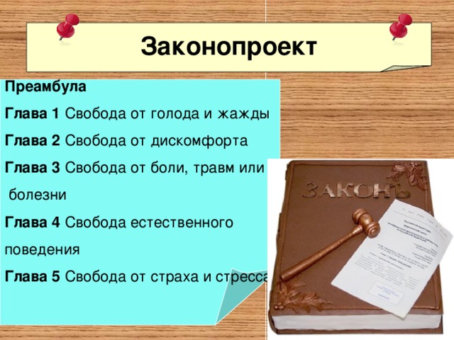 Законопроект  Преамбула Глава 1 Свобода от голода и жажды  Глава 2 Свобода от дискомфорта  Глава 3 Свобода от боли, травм или  болезни  Глава 4 Свобода естественного поведения  Глава 5 Свобода от страха и стресса  