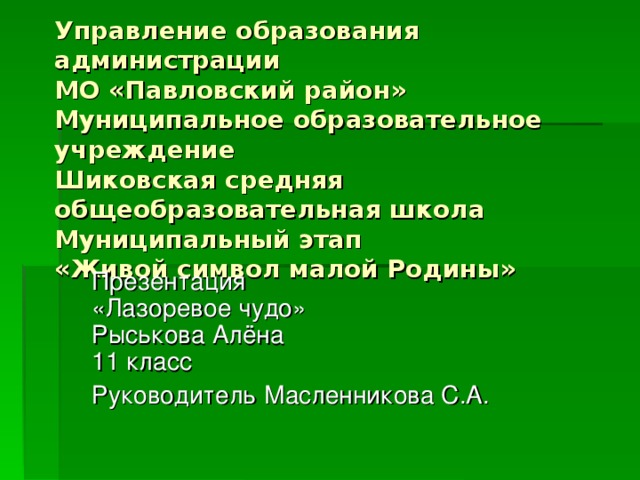 Управление образования администрации  МО «Павловский район»  Муниципальное образовательное учреждение  Шиковская средняя общеобразовательная школа  Муниципальный этап  «Живой символ малой Родины» Презентация  «Лазоревое чудо»  Рыськова Алёна  11 класс Руководитель Масленникова С.А. 