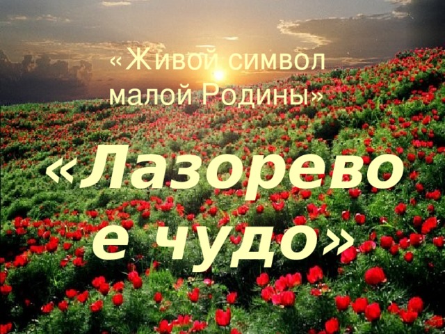 «Живой символ малой Родины» «Лазоревое чудо» 