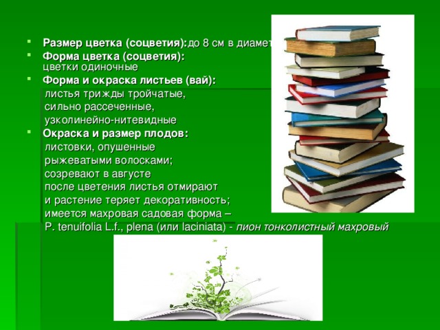 Размер цветка (соцветия): до 8 см в диаметре Форма цветка (соцветия): цветки одиночные Форма и окраска листьев (вай):  листья трижды тройчатые,  сильно рассеченные,  узколинейно-нитевидные Окраска и размер плодов:  листовки, опушенные  рыжеватыми волосками;   созревают в августе    после цветения листья отмирают  и растение теряет декоративность;   имеется махровая садовая форма –  P. tenuifolia L.f., plena (или laciniata) -  пион тонколистный махровый 
