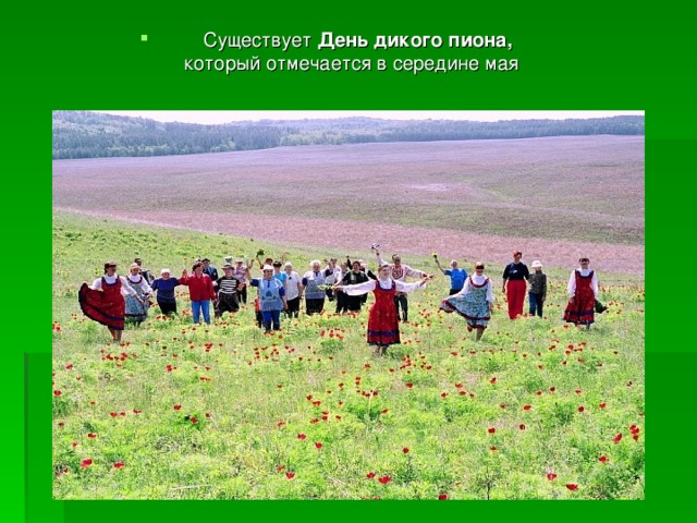 Существует День дикого пиона,  который отмечается в середине мая 