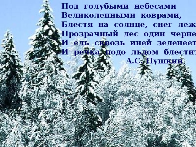 Под голубыми небесами Великолепными коврами, Блестя на солнце, снег лежит; Прозрачный лес один чернеет, И ель сквозь иней зеленеет, И речка подо льдом блестит. А.С. Пушкин 
