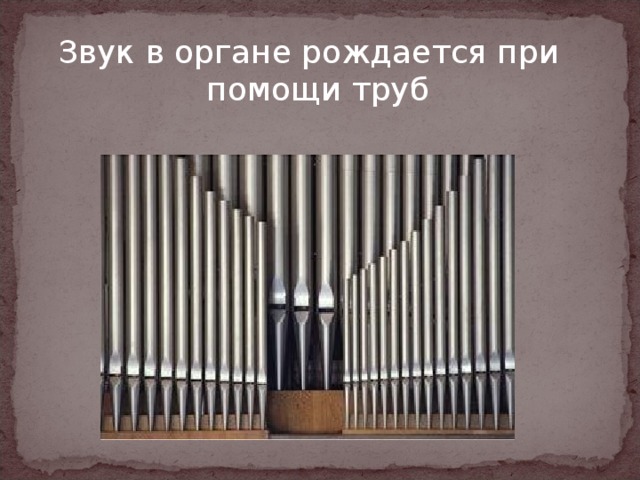 Звук в органе рождается при помощи труб 