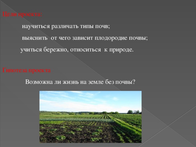 Цели проекта:    научиться различать типы почв;  выяснить от чего зависит плодородие почвы;  учиться бережно, относиться к природе.   Гипотеза проекта  Возможна ли жизнь на земле без почвы? 