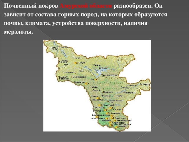 Почвенный покров Амурской области разнообразен. Он зависит от состава горных пород, на которых образуются почвы, климата, устройства поверхности, наличия мерзлоты.  