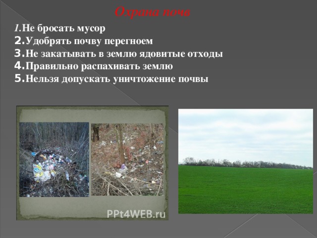 Охрана почв 1. Не бросать мусор  2. Удобрять почву перегноем  3. Не закатывать в землю ядовитые отходы  4. Правильно распахивать землю  5. Нельзя допускать уничтожение почвы   