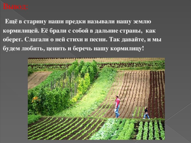 Вывод:   Ещё в старину наши предки называли нашу землю кормилицей. Её брали с собой в дальние страны, как оберег. Слагали о ней стихи и песни. Так давайте, и мы будем любить, ценить и беречь нашу кормилицу!   