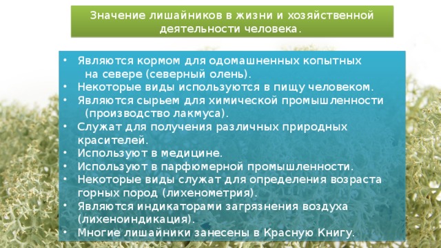   Значение лишайников в жизни и хозяйственной деятельности человека.  Являются кормом для одомашненных копытных  на севере (северный олень). Некоторые виды используются в пищу человеком. Являются сырьем для химической промышленности  (производство лакмуса). Служат для получения различных природных красителей. Используют в медицине. Используют в парфюмерной промышленности. Некоторые виды служат для определения возраста горных пород (лихенометрия). Являются индикаторами загрязнения воздуха (лихеноиндикация). Многие лишайники занесены в Красную Книгу. 