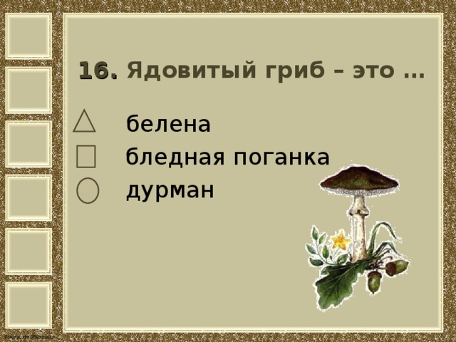   16. Ядовитый гриб – это …     белена  бледная поганка  дурман 