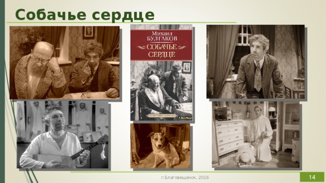 Собачье сердце в 1988 году Бортко снимает двухсерийный телефильм «Собачье сердце» по мотивам одноименного произведения Михаила Булгакова, которое всего за год до этого было впервые официально опубликовано. Удивительная атмосфера булгаковской повести и в особенности роль профессора Преображенского в блистательном исполнении Евгения Евстигнеева, пришлись по душе самому широкому зрителю, и картина «Собачье сердце» стала одной из наиболее популярных телевизионных экранизаций русской классики.  г.Благовещенск, 2016  