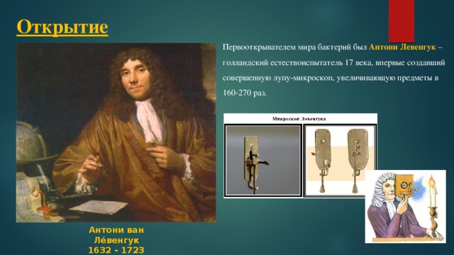 Открытие Первооткрывателем мира бактерий был Антони Левенгук – голландский естествоиспытатель 17 века, впервые создавший совершенную лупу-микроскоп, увеличивающую предметы в 160-270 раз. Антони ван Ле́венгук 1632 - 1723 