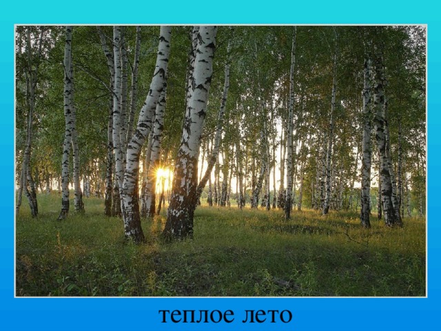  теплое лето 