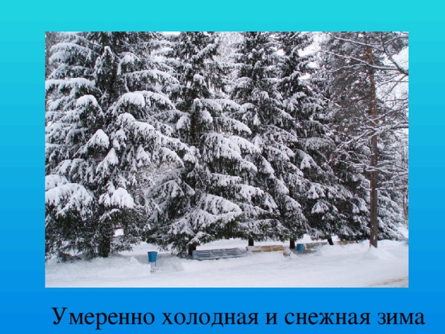  Умеренно холодная и снежная зима 