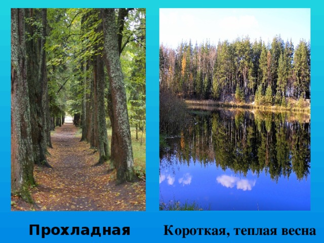  Прохладная осень  Короткая, теплая весна 