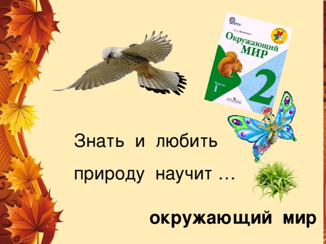 Знать и любить природу научит … окружающий мир 