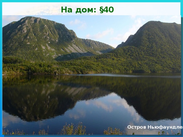 На дом: §40 Остров Ньюфаундленд 