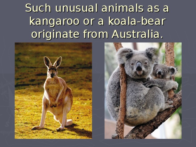 Such unusual animals as a kangaroo or a koala-bear originate from Australia. 
