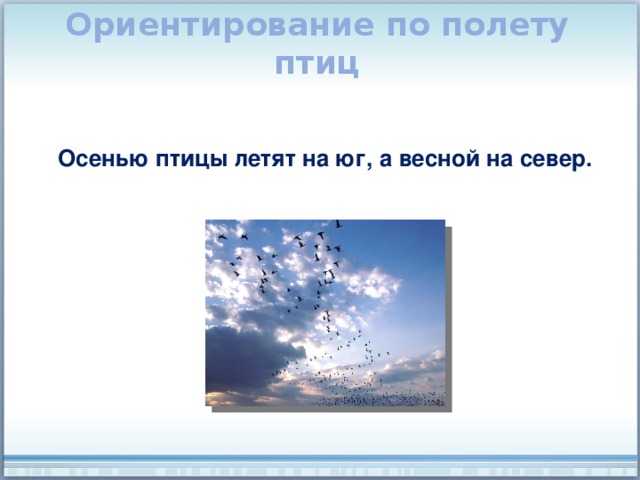 Ориентирование по полету птиц Осенью птицы летят на юг, а весной на север. 