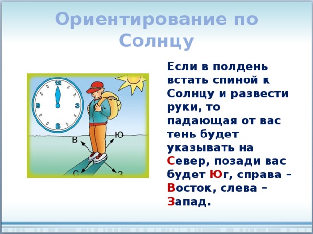 Ориентирование по Солнцу Если в полдень встать спиной к Солнцу и развести руки, то падающая от вас тень будет указывать на С евер, позади вас будет Ю г, справа – В осток, слева – З апад. 