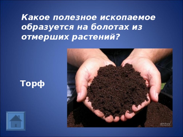 Какое полезное ископаемое образуется на болотах из отмерших растений?  Торф 