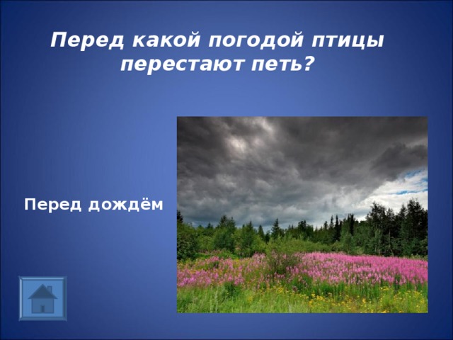 Перед какой погодой птицы перестают петь? Перед дождём 