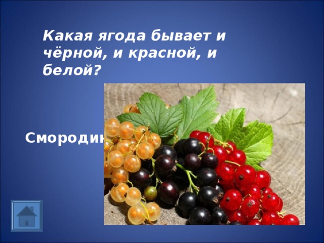 Какая ягода бывает и чёрной, и красной, и белой? Смородина  