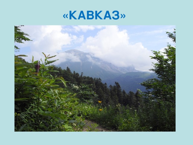 «КАВКАЗ» 