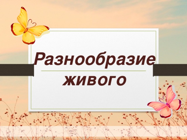 Разнообразие живого  
