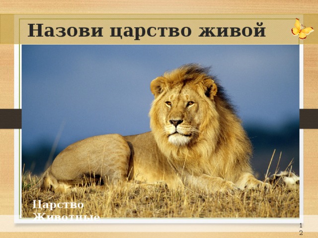 Назови царство живой природы Царство Животные 11 