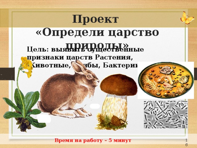 Проект «Определи царство природы» Цель: выявить существенные признаки царств Растения, Животные, Грибы, Бактерии. Время на работу – 5 минут 15 