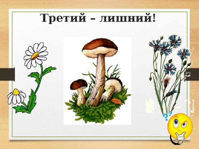 Третий – лишний! 