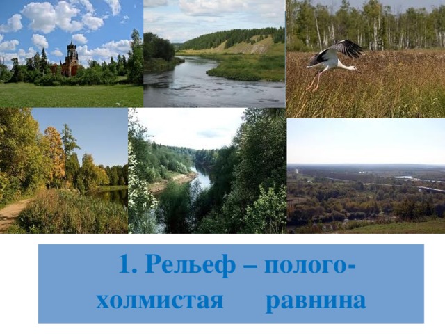  1. Рельеф – полого-холмистая равнина 