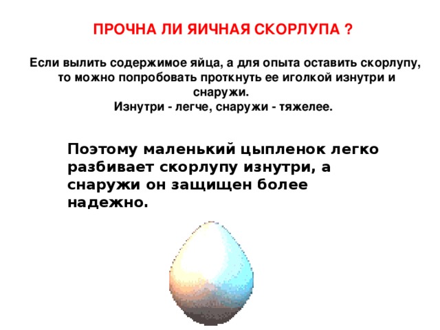 ПРОЧНА ЛИ ЯИЧНАЯ СКОРЛУПА ? Если вылить содержимое яйца, а для опыта оставить скорлупу,  то можно попробовать проткнуть ее иголкой изнутри и снаружи. Изнутри - легче, снаружи - тяжелее.   Поэтому маленький цыпленок легко разбивает скорлупу изнутри, а снаружи он защищен более надежно.