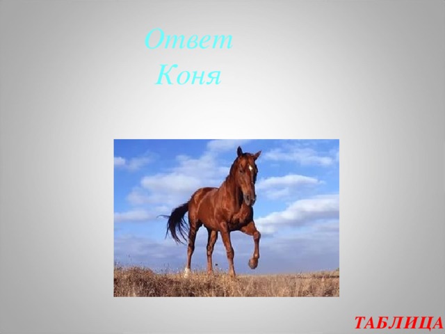 Ответ Коня ТАБЛИЦА  