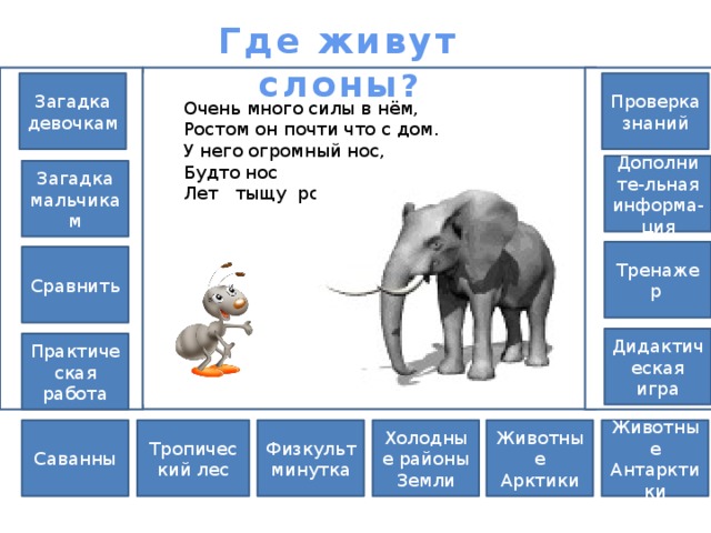 Где живут слоны ? Проверка знаний Загадка девочкам Очень много силы в нём, Ростом он почти что с дом. У него огромный нос, Будто нос Лет тыщу рос. Дополните-льная информа-ция Загадка мальчикам Тренажер Сравнить Дидактическая игра Практическая работа Животные Антарктики Тропический лес Животные Арктики Саванны Физкультминутка Холодные районы Земли 