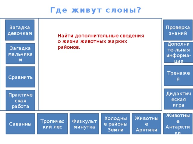 Где живут слоны? Загадка Проверка знаний девочкам Найти дополнительные сведения о жизни животных жарких районов. Дополните-льная информа-ция Загадка мальчикам Тренажер Сравнить Дидактическая игра Практическая работа Животные Арктики Животные Антарктики Холодные районы Физкультминутка Тропический лес Саванны Земли 
