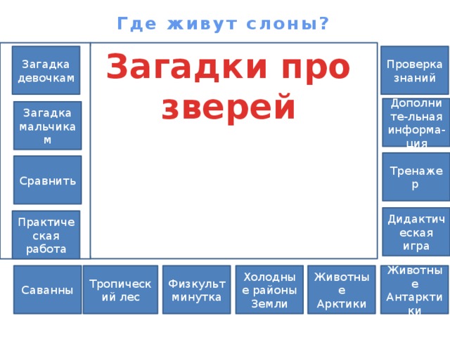 Где живут слоны? Загадки про зверей Загадка Проверка знаний девочкам Дополните-льная информа-ция Загадка мальчикам Тренажер Сравнить Дидактическая игра Практическая работа Животные Антарктики Животные Арктики Тропический лес Холодные районы Физкультминутка Саванны Земли 