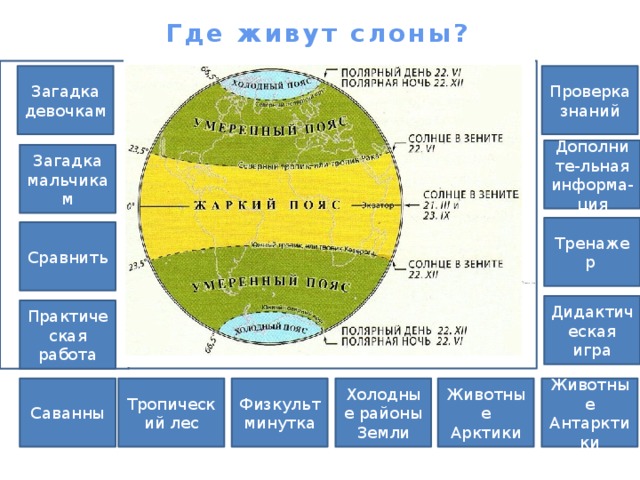 Где живут слоны? Проверка знаний Загадка девочкам Дополните-льная информа-ция Загадка мальчикам Тренажер Сравнить Дидактическая игра Практическая работа Холодные районы Тропический лес Саванны Животные Антарктики Животные Арктики Физкультминутка Земли 