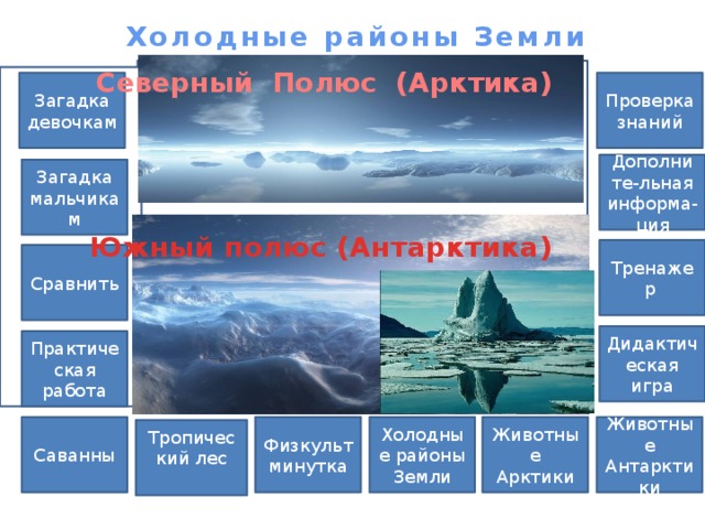 Холодные районы Земли Северный Полюс (Арктика) Проверка знаний Загадка девочкам Дополните-льная информа-ция Загадка мальчикам Южный полюс (Антарктика) Тренажер Сравнить Дидактическая игра Практическая работа Животные Антарктики Саванны Животные Арктики Холодные районы Физкультминутка Земли Тропический лес 