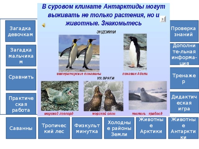 Животные Антарктики Проверка знаний Загадка девочкам Дополните-льная информа-ция Загадка мальчикам Тренажер Сравнить Дидактическая игра Практическая работа Холодные районы Саванны Животные Антарктики Животные Арктики Тропический лес Физкультминутка Земли 