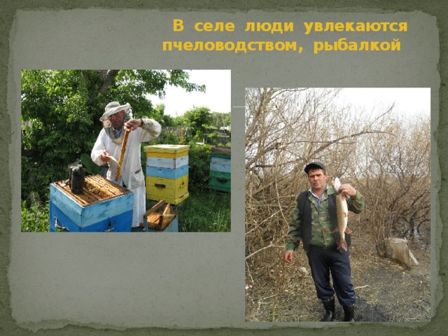  В селе люди увлекаются  пчеловодством, рыбалкой 