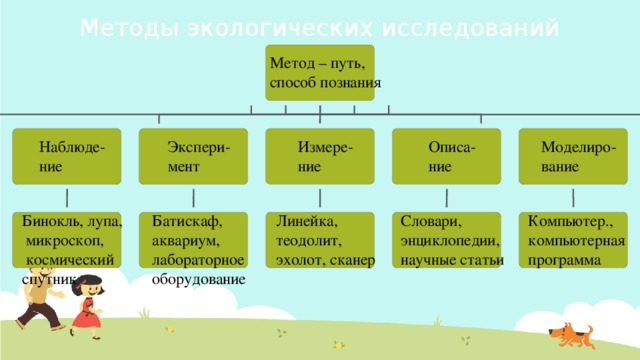 Методы экологических исследований 