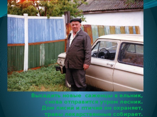 Высадить новые саженцы в ельник,  снова отправится утром лесник.  Дом лисий и птичий он охраняет,  травы лекарственные собирает. 