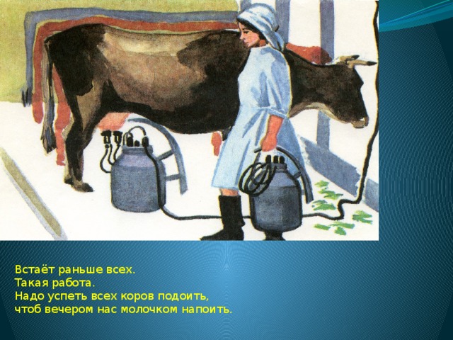 Встаёт раньше всех.  Такая работа.  Надо успеть всех коров подоить,  чтоб вечером нас молочком напоить. 