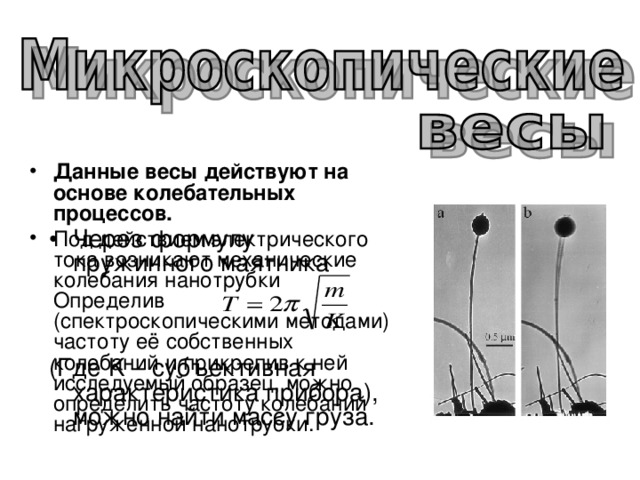 Данные весы действуют на основе колебательных процессов. Под действием электрического тока возникают механические колебания нанотрубки Определив (спектроскопическими методами) частоту её собственных колебаний и прикрепив к ней исследуемый образец, можно определить частоту колебаний нагруженной нанотрубки. Через формулу пружинного маятника   (Где K – субъективная характеристика прибора), можно найти массу груза. 